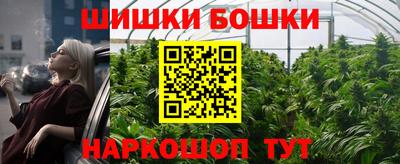 прущие грибы Лесосибирск